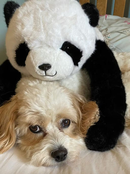 Hugly